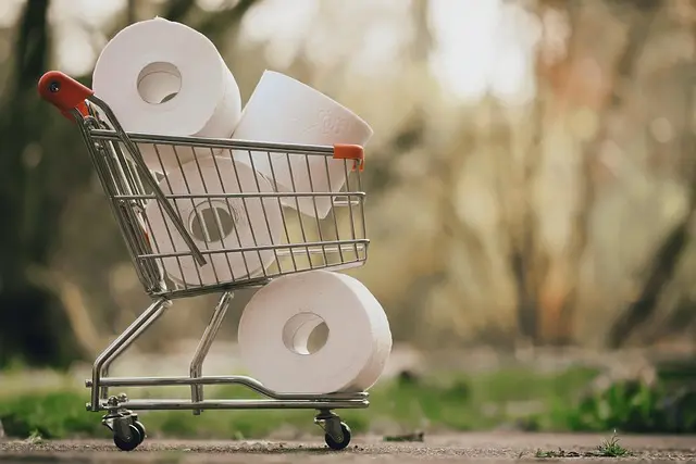 10 astuces pour économiser lors de vos achats en ligne